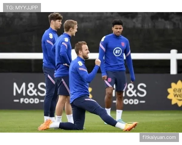 努涅斯与凯恩：全面中锋与冲击型前锋的战术功能差异解析