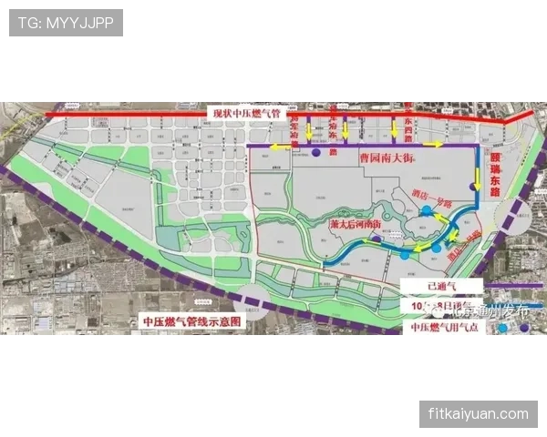 费尔明伤病动态：近期恢复进展顺利，状态回暖备受期待